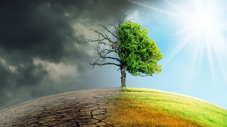 Foto da notícia: Prefeitura de Boa Esperança inicia estudos sobre Adaptação as Mudanças Climáticas
