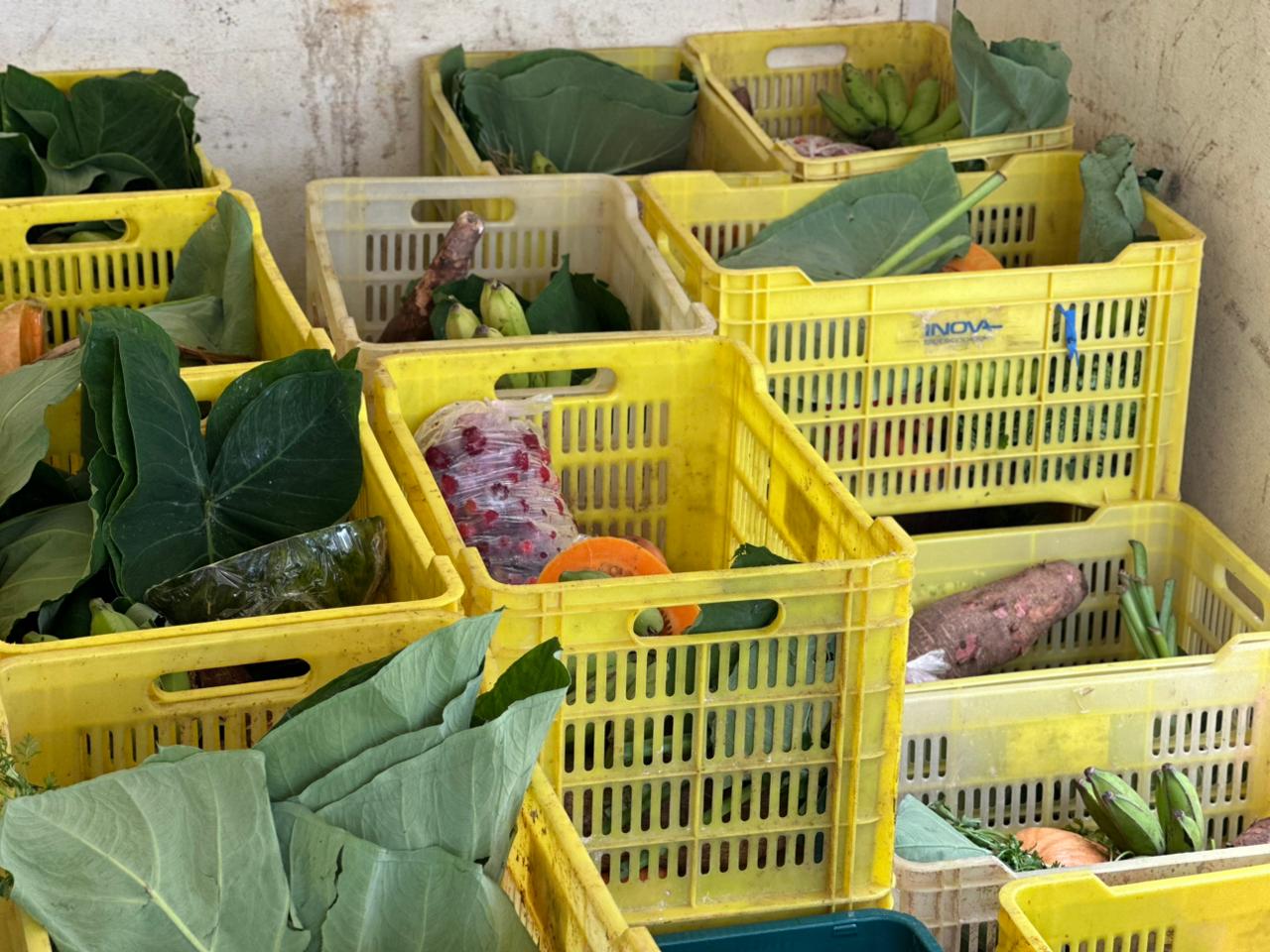 Entrega de premios en Botemania