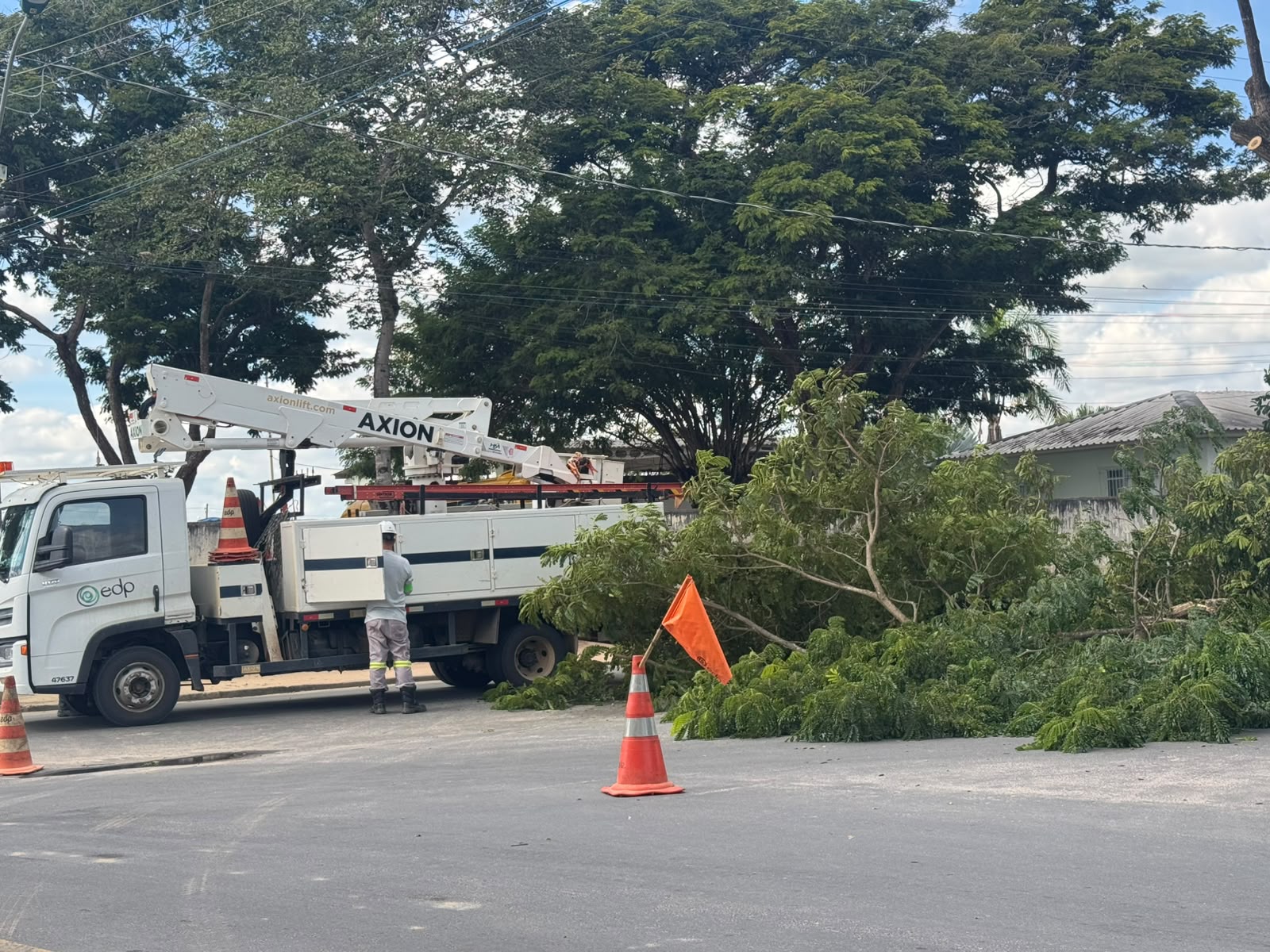 Foto da notícia: Prefeitura realiza mutirão de podas preventivas para reforçar segurança e garantir qualidade no fornecimento de energia