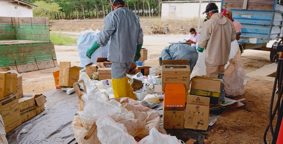 Secretaria Municipal de Meio Ambiente Coleta Mais de 3.6 Mil Embalagens de Agrotóxicos em Dois Dias