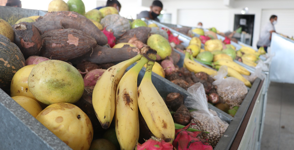 Prefeitura Realiza Compra Direta de Alimentos da Agricultura Familiar Através de Projeto e Entrega para Famílias Cadastradas no Cadastro Único